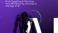 Advice for evaluating key capabilities in API security