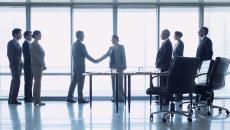 Business professionals shake hands to formalise a deal