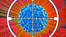 Targeting cancer